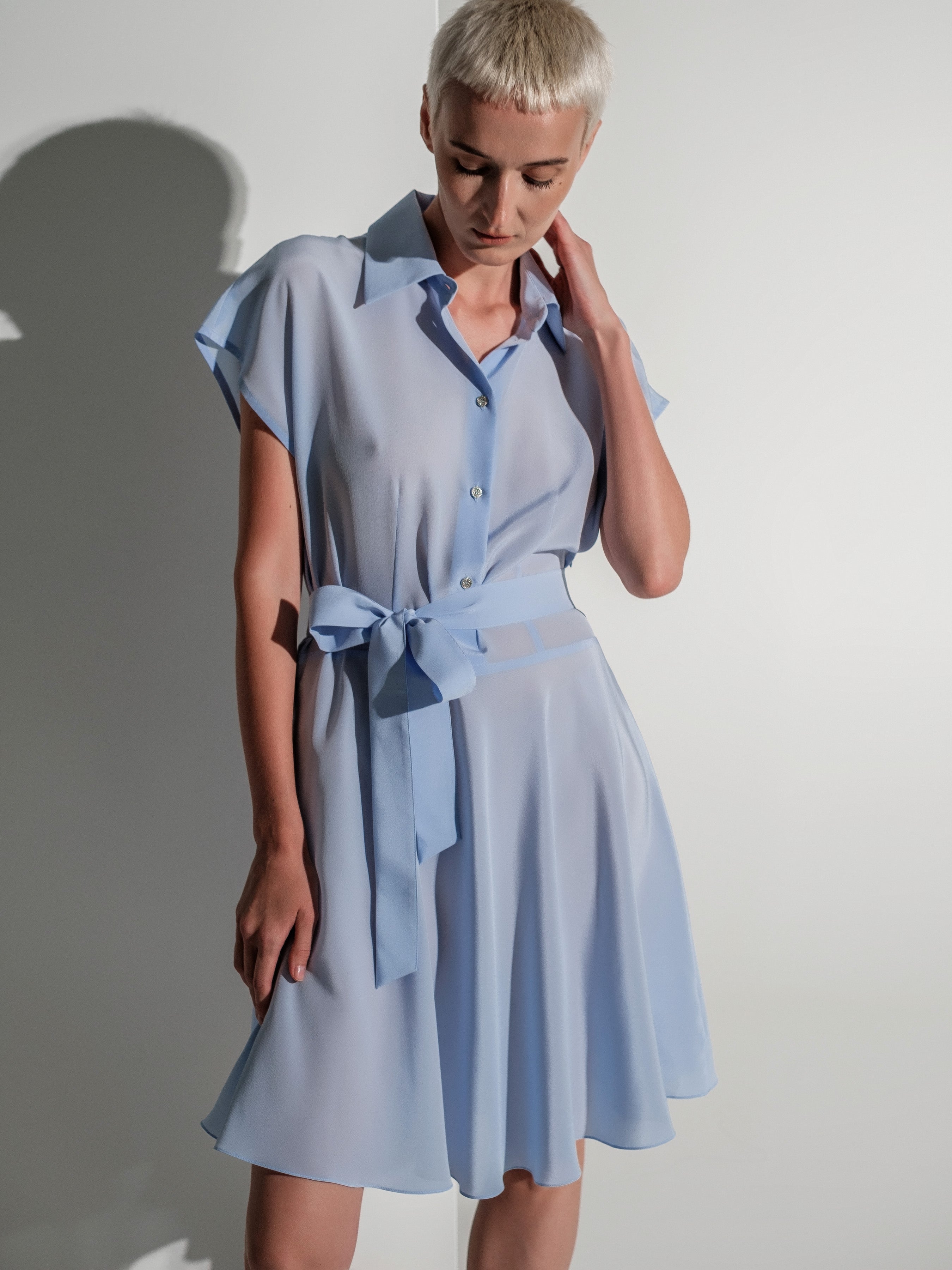 Shirt silk dress