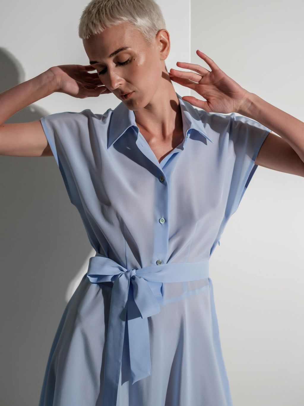 Shirt silk dress